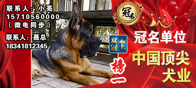 中国顶尖犬业